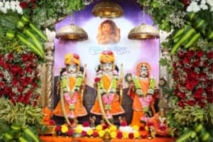 લાઈવ દર્શન